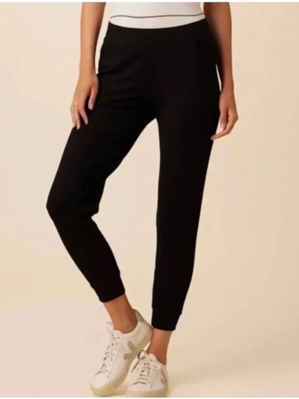 Amour Vert Brighton Crop Ribbed Knit Cigarette Pant - Black M